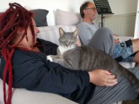 ein Bild aus dem Album